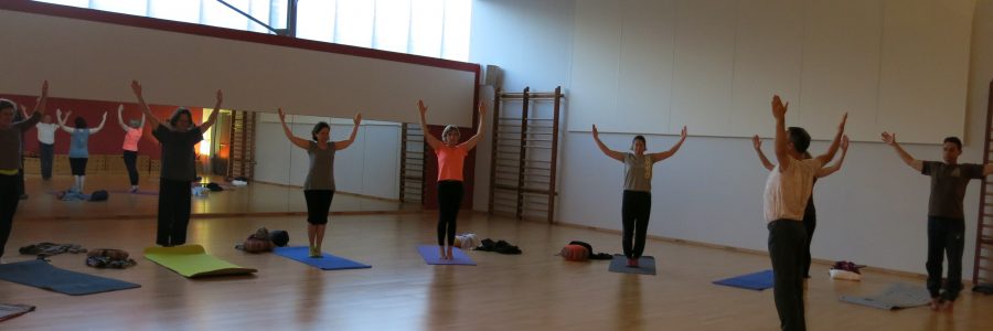 Hatha Yoga Meximieux Hatha Yoga Meximieux